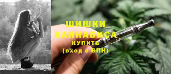ГАЛЛЮЦИНОГЕННЫЕ ГРИБЫ Аркадак