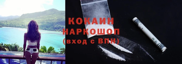 гидра Армянск
