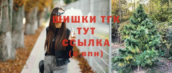 ГАЛЛЮЦИНОГЕННЫЕ ГРИБЫ Аркадак