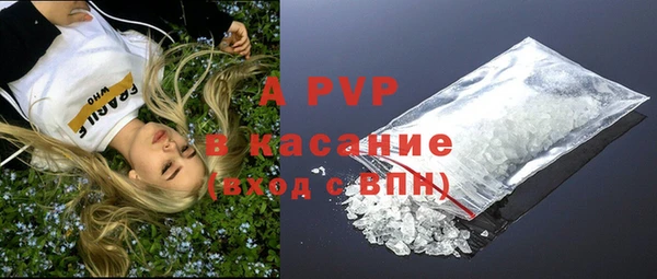 ГАЛЛЮЦИНОГЕННЫЕ ГРИБЫ Аркадак