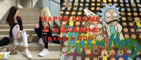ГАЛЛЮЦИНОГЕННЫЕ ГРИБЫ Аркадак