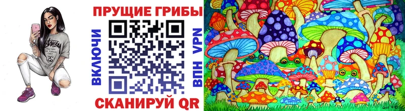 Псилоцибиновые грибы Psilocybine cubensis  Слободской 